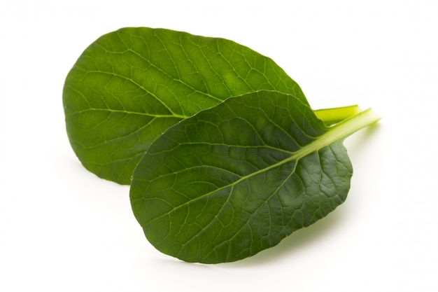 Spinach leaves close up isolated on white.