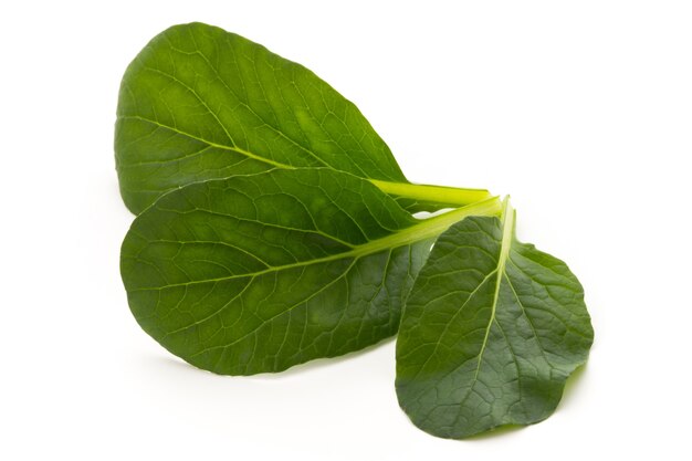 Spinach leaves close up isolated on white.