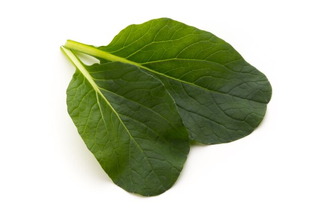 Spinach leaves close up isolated on white.