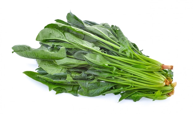 Spinach leaves isolated on white isolated