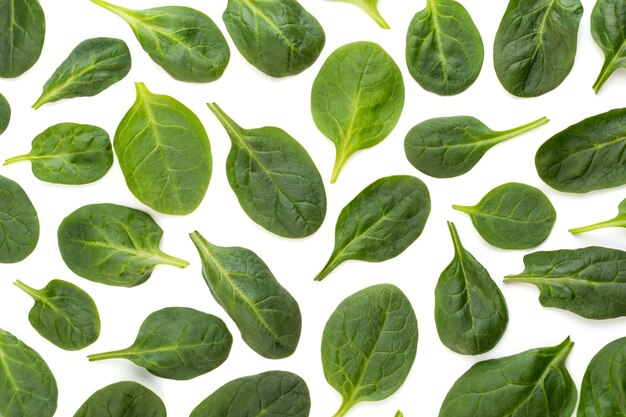 Spinach pattern background on white. Top view