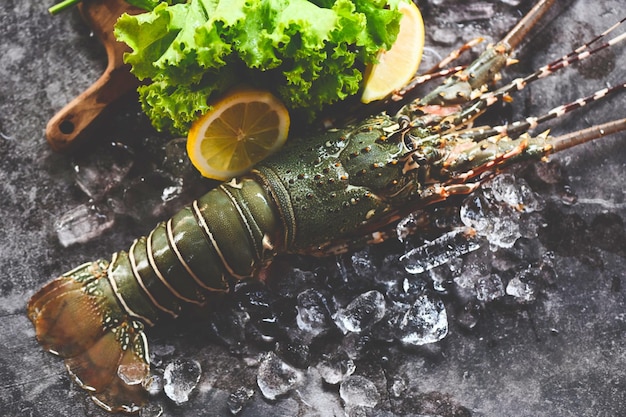 Spiny lobster seafood on ice fresh lobster or rock lobster with herb and spices lemon coriander parsley on background raw spiny lobster for cooking food or seafood market