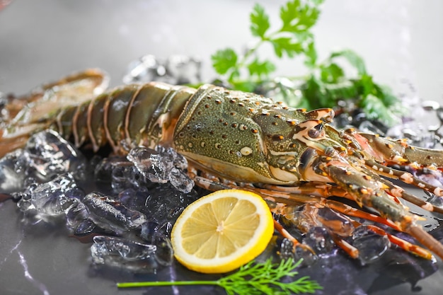 Spiny lobster seafood on ice fresh lobster or rock lobster with herb and spices lemon parsley on dark background raw spiny lobster for cooking food or seafood market