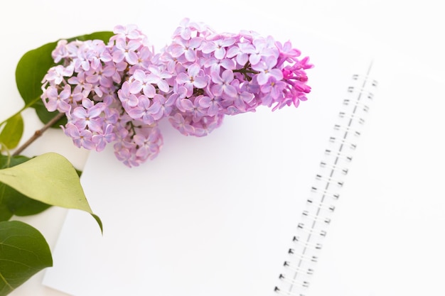 Spiral notebook and pen Notepad with pen and flowers Notebook lilacs on light background