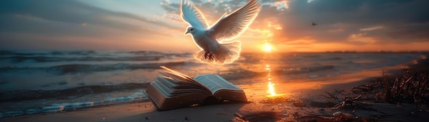 Spiritual scene of a dove ascending with fluttering wings above an open Bible on a beach at sunset light painting style