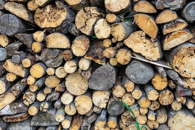 Split Dry Firewood Texture Background