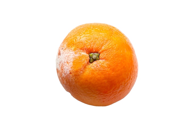 A spoiled orange on a white background Fruit isolate Lack of food and fruits Lack of food for the people Hunger all over the world