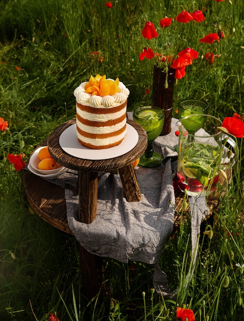 Sponge cake with apricots on the wooden table in the poppies field. A wooden chair is standing behind as a part of composition.