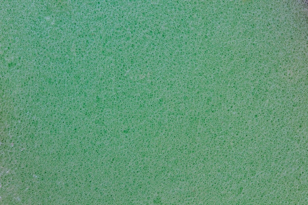 Sponge texture background