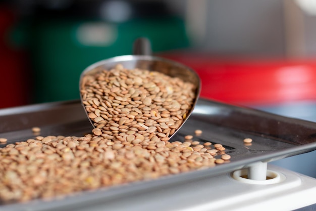 Spoon of lentils on a weighing scale. Lentil grains in detail. Metal spoon for grains.