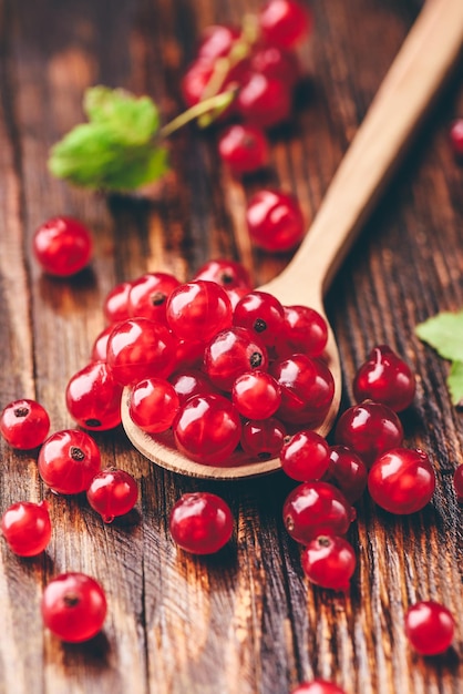 Spoonful of red currant