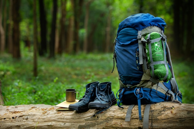 Sport shoes and backpack color blue on the timber in the forest