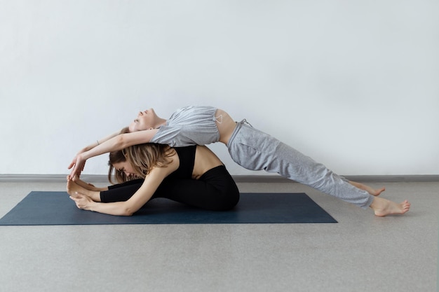 Sporty yogi sisters doing fitness training pair couple yoga