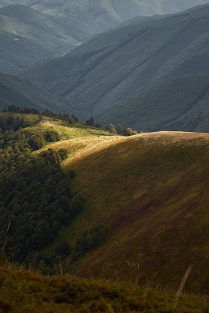 Spot of sunlight on mountain range Carpathian Mountain Ukraine Walking and hiking trails in Borzhava ridge Rural area of carpathian mountains in autumn