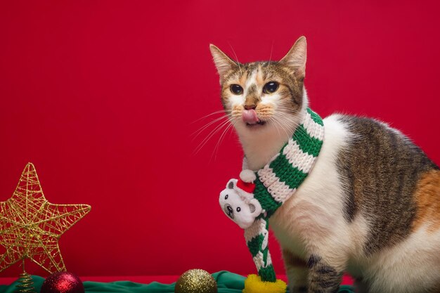 Photo spotted cat showing its tongue using christmas accessories with red background copy space