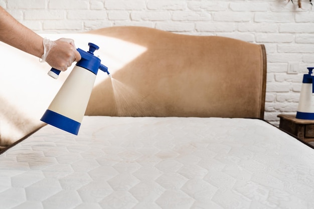 Spraying detergent on mattress for dry cleaning Professional cleaner in gloves is pouring detergent on mattress for removing stains and dirt