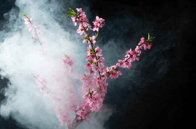 Photo sprig of cherry blossoms in smoke and water drops on black