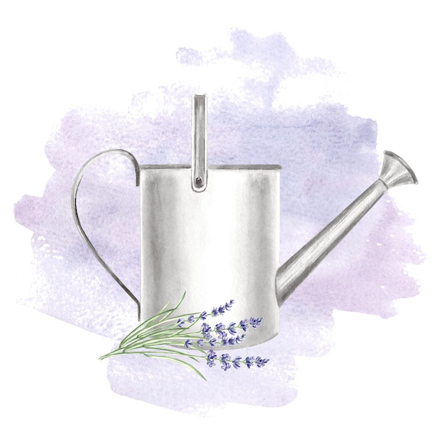 Sprig of lavender flowers and watering can on violet watercolor background isolated hand drawn