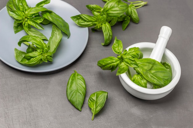 Sprigs of green basil in a mortar and on a plate