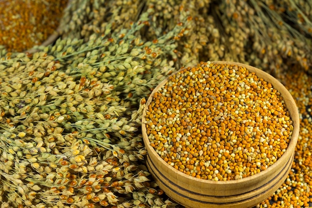 Sprigs of millet and grains