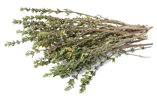 Sprigs of thyme on a white isolated background top view