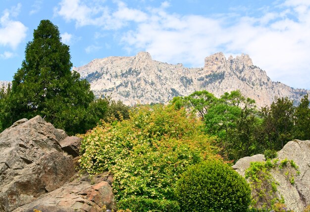 Spring Aj-Petri Mountain top view (Crimea, Ukraine)