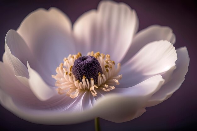 Spring anemone flower close up Generative AI