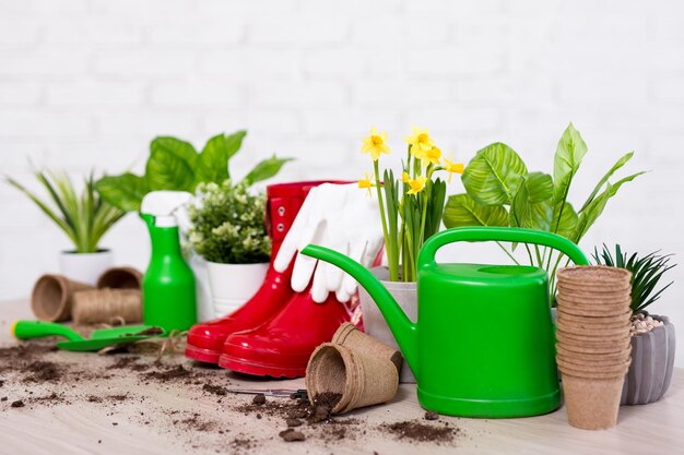 Photo spring background close up of potted plants and gardening tools on wooden table