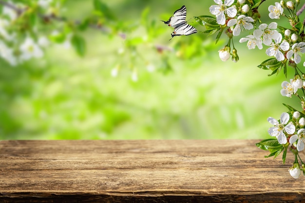 Spring background. Empty wooden table top and branches of white cherry blossom.