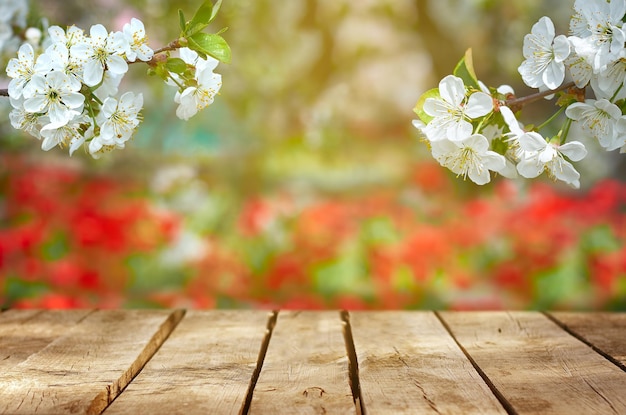 Spring background. Empty wooden table top and cherry tree blossom.