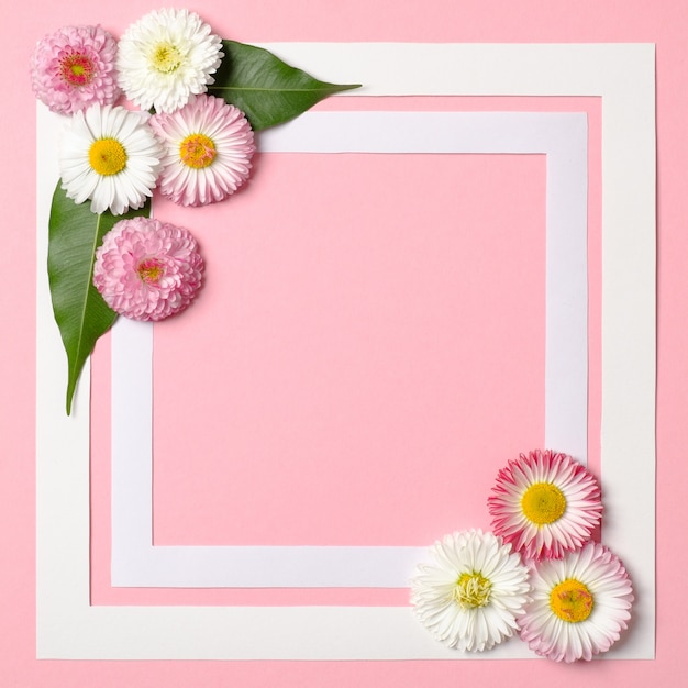 Spring background with border frame and daisy flowers in corners.