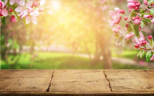 Spring background with flowering pink apple branches border and empty wooden rustic table.