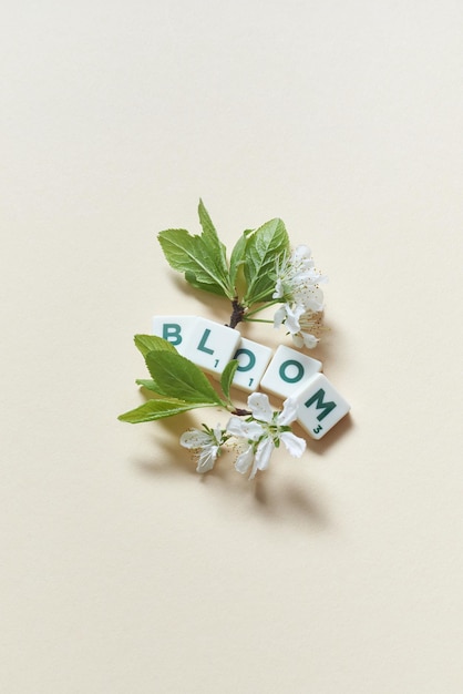 Spring bloom and scrabble blocks on beige background