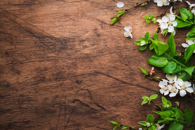 Spring blooming branches on wooden background White Cherry blossoms top view copy space