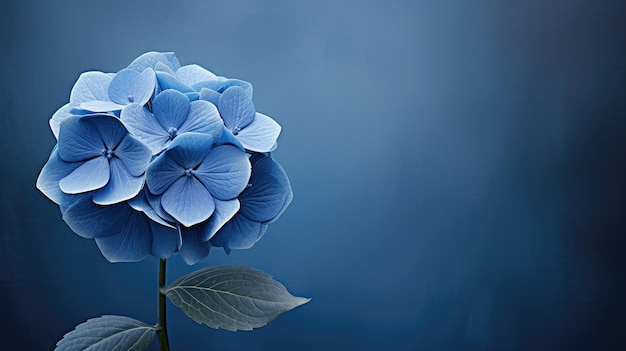 Spring blue flower background artful