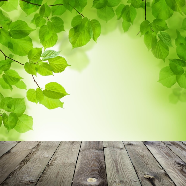 Spring bokeh background Abstract Bokeh Light Green Linden Leaves and Grey Empty Wooden Table