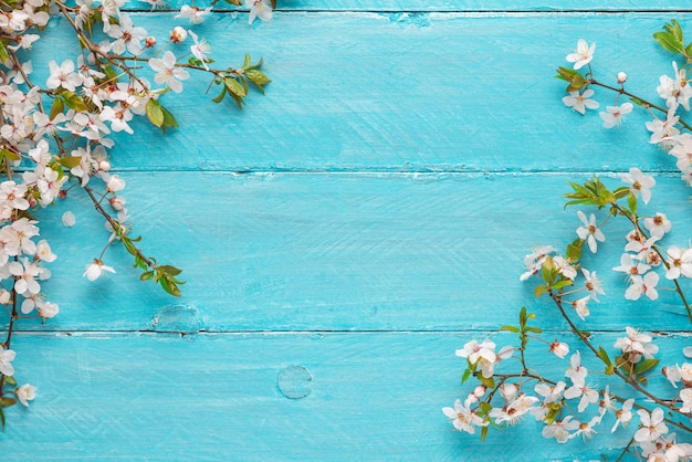 Spring border flowers cherry blossoming on blue wooden background. top view with copy space