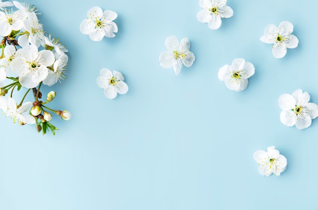 Spring border table with beautiful white flowering branches. Blue table, bloom delicate flowers. Springtime concept. Flat lay top view copy space.