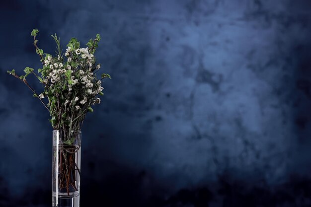 spring bouquet branches bud leaves / small fresh branches in a bouquet with green leaves buds and flowers, spring