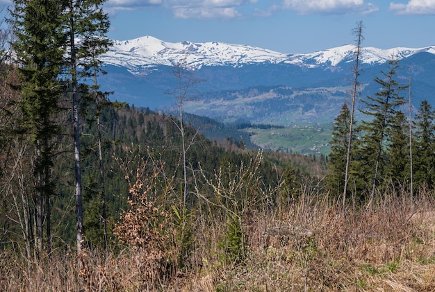 Spring Carpathian mountains view Ukraine