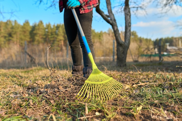 Spring cleaning of the garden with a rake from fallen leaves dry grass