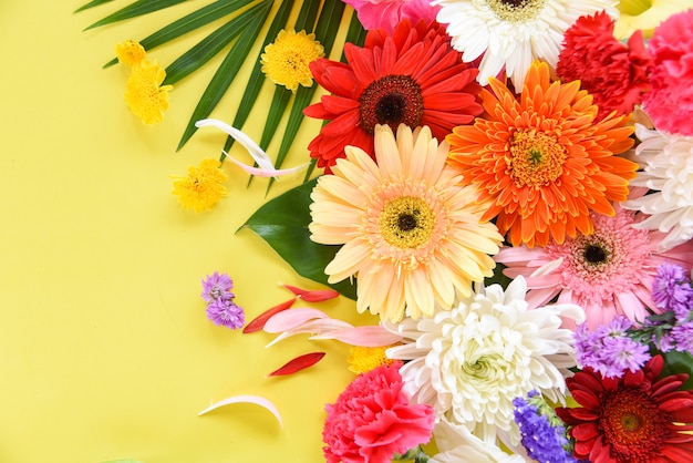 spring colorful flower tropical plant gerbera chrysanthemum 