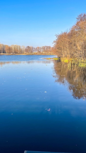 spring day over the lake