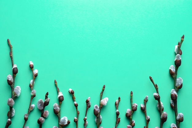 Spring Easter top view background with willow twigs with buds on a turquoise paper Happy Easter spring awakening concept