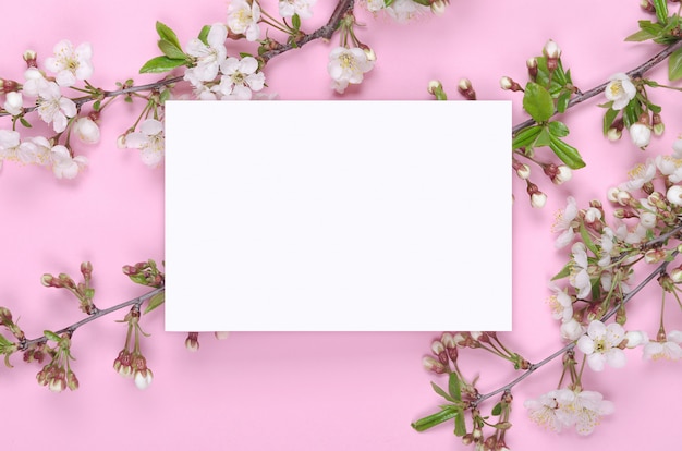 Spring floral background for greeting card on pink background. copy space