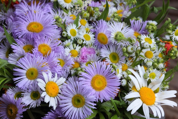 Spring flowers background closeup Beautiful flower abstract background of nature