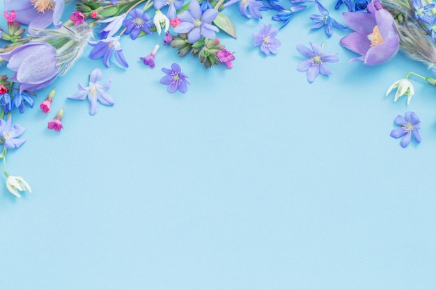 Spring flowers on blue background