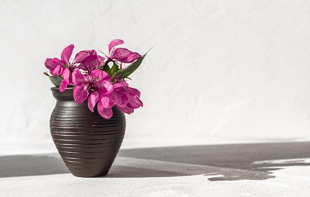 Spring flowers in clay vase onlight background copy space