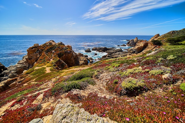 Spring flowers on cliffs and hills leading to ocean