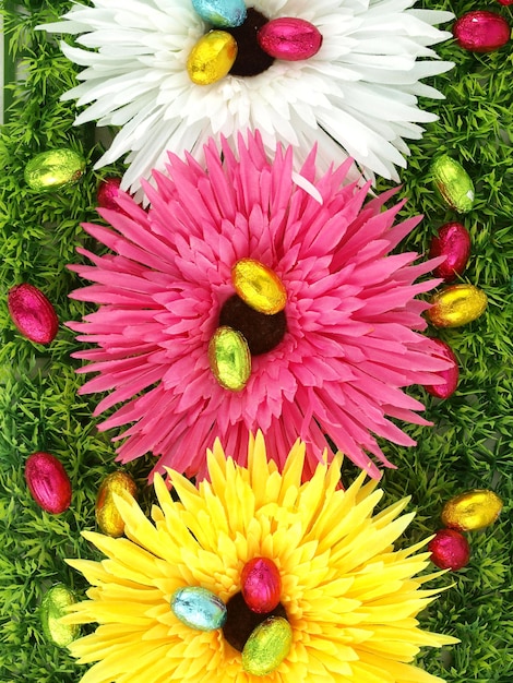 Spring flowers and Easter